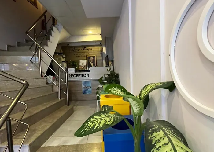 Vandrerhjem Moonlight